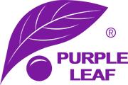 Purple Leaf